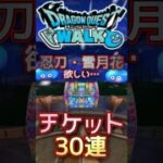 【ドラクエウォーク】忍刀・雪月花が欲しくって… #ドラクエウォーク #dqw #ドラクエ