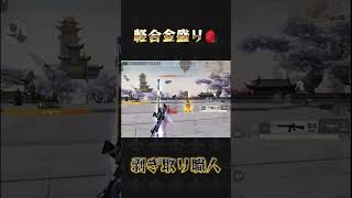 軽合盛りリュック#荒野行動 #knivesout #ペニンシュラ大脱走