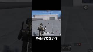 見つけました！これがそうか！ #knivesout #荒野行動 #game #gameplay #たくさん入る鞄