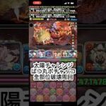 ばつ丸ポチャッコで太陽チャレンジを全部位破壊周回【パズドラ】#shorts #パズドラ #称号チャレンジ