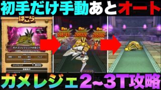 【ドラクエウォーク】制限対応ガメゴンレジェンドほぼオート攻略。