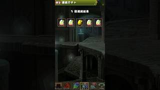 【パズドラ】フリーレンコラボガチャ#パズドラ#パズドラガチャ