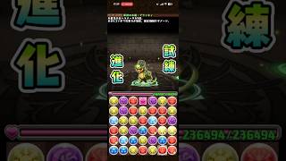 #パズドラ　原初の木龍・ブラッキィ試練進化