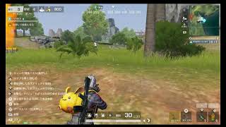 ワイの荒野行動