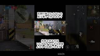 これはいらないよね#荒野行動#荒野#ゲーム