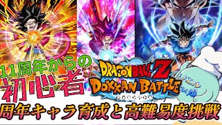 【ドッカンバトル 007】11周年と聞いて始めた初心者のプレイ配信～周年キャラの育成と高難易度挑戦～