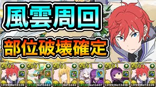 【パズドラ】希石などを集めよう！部位破壊確定！全敵対応！天空の儚域！風雲の龍王！1周14分台！ラインハルト編成で安定周回！【風雲】