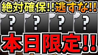 【本日(14日)限定】逃すと絶対後悔します！数年分の差が開く今後のパズドラ人生に大きく関わる重要なことです！ガチで全パズドラーに見て欲しい！徹底解説【パズドラ】