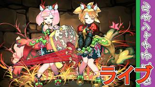 【パズドラ】フリーレンの去った3月パズドラ by白王子 2026/3/15