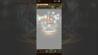 #パズドラ 　ミニキャラガチャを懲りずに5連引いてみた🐈️もう引きません😿