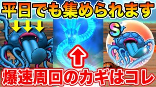 【ドラクエウォーク】今なら平日でも集めることができる!! エビルプラント爆速周回のカギはコレ!!【DQW】