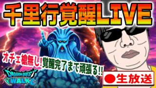 【ドラクエウォークLIVE】くもの大王覚醒千里行を覚醒完了までがんばる!(つもり)質問雑談どしどしどうぞ!
