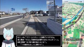 【ドラクエウォークLive】6.5周年ハーフアニバーサリー DQⅦ ReWALKイベントと本庄深谷散歩【ツイキャス、ニコ生同時配信】