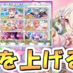 【プリコネR】専用１ＳＰは誰が優先？コネクトランクは誰を上げるべき？について【コネクトRANK】