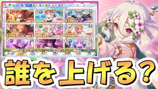 【プリコネR】専用１ＳＰは誰が優先？コネクトランクは誰を上げるべき？について【コネクトRANK】