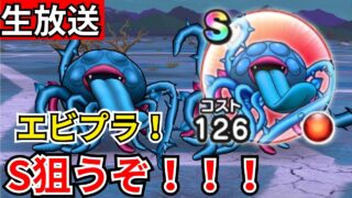 【ドラクエウォーク】エビルプラントS目指してくもの大王千里行！！！【生放送】