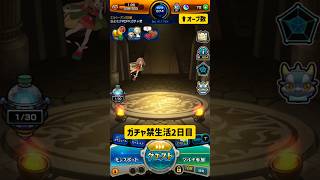 【モンスト】超かぐや姫！コラボまでガチャ禁生活🦊#モンスト #モンスターストライク #超かぐや姫 #shorts