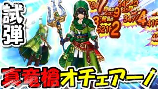 【ドラクエウォーク】真竜槍試し切り！最強クラスの狩り武器の性能をしっかり見るぞ！